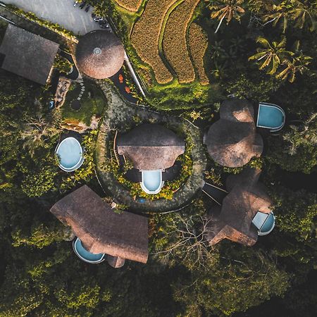 Hotel Jungleight Bali à Tegallalang  Extérieur photo