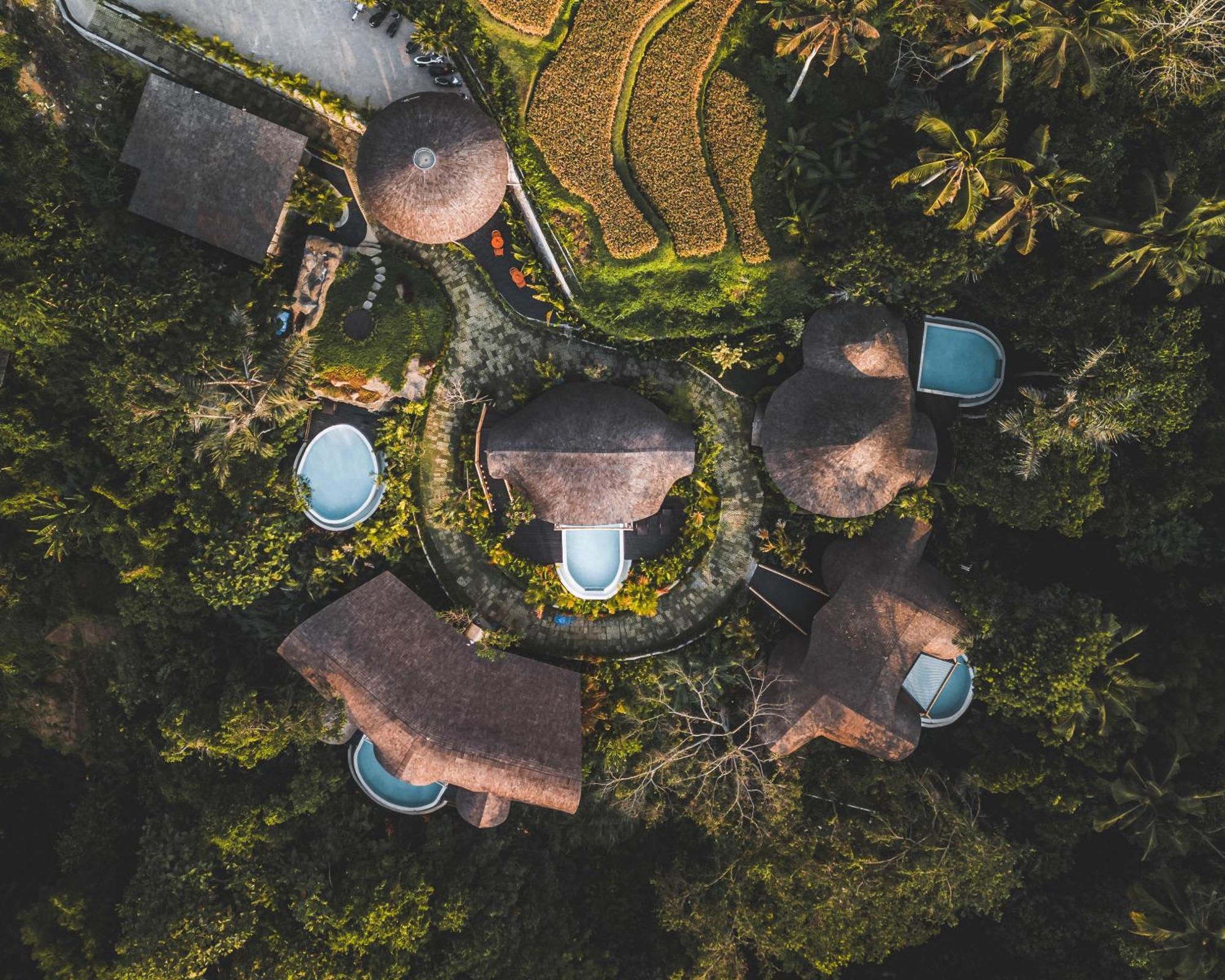 Hotel Jungleight Bali à Tegallalang  Extérieur photo